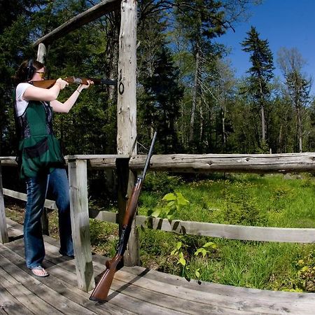 Allegheny Springs Snowshoe Εξωτερικό φωτογραφία