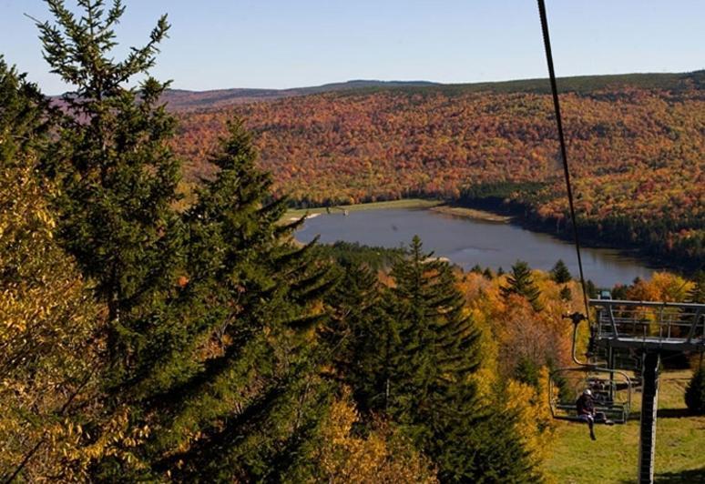 Allegheny Springs Snowshoe Εξωτερικό φωτογραφία