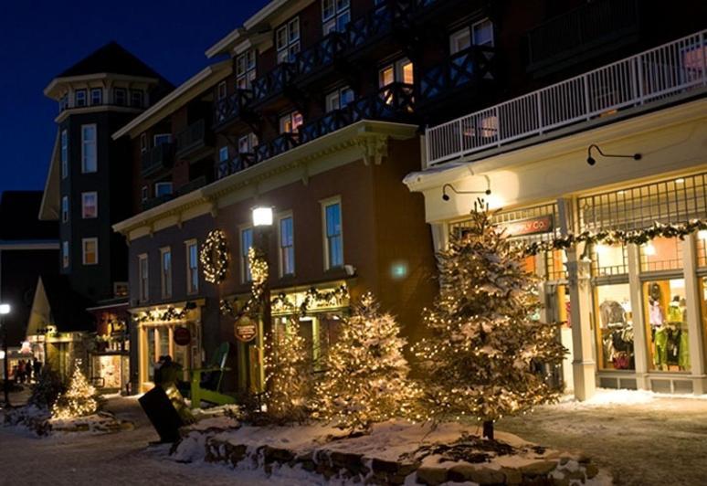 Allegheny Springs Snowshoe Εξωτερικό φωτογραφία