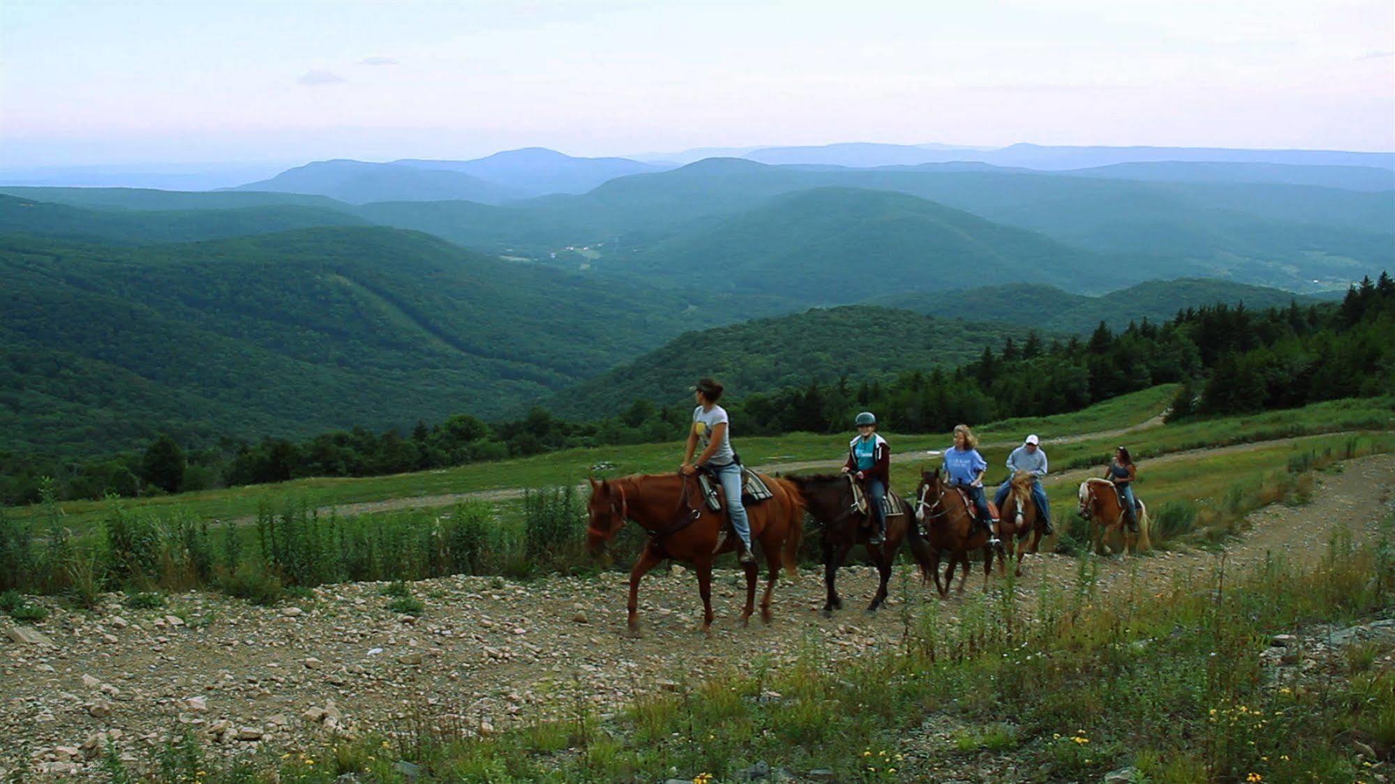 Allegheny Springs Snowshoe Εξωτερικό φωτογραφία