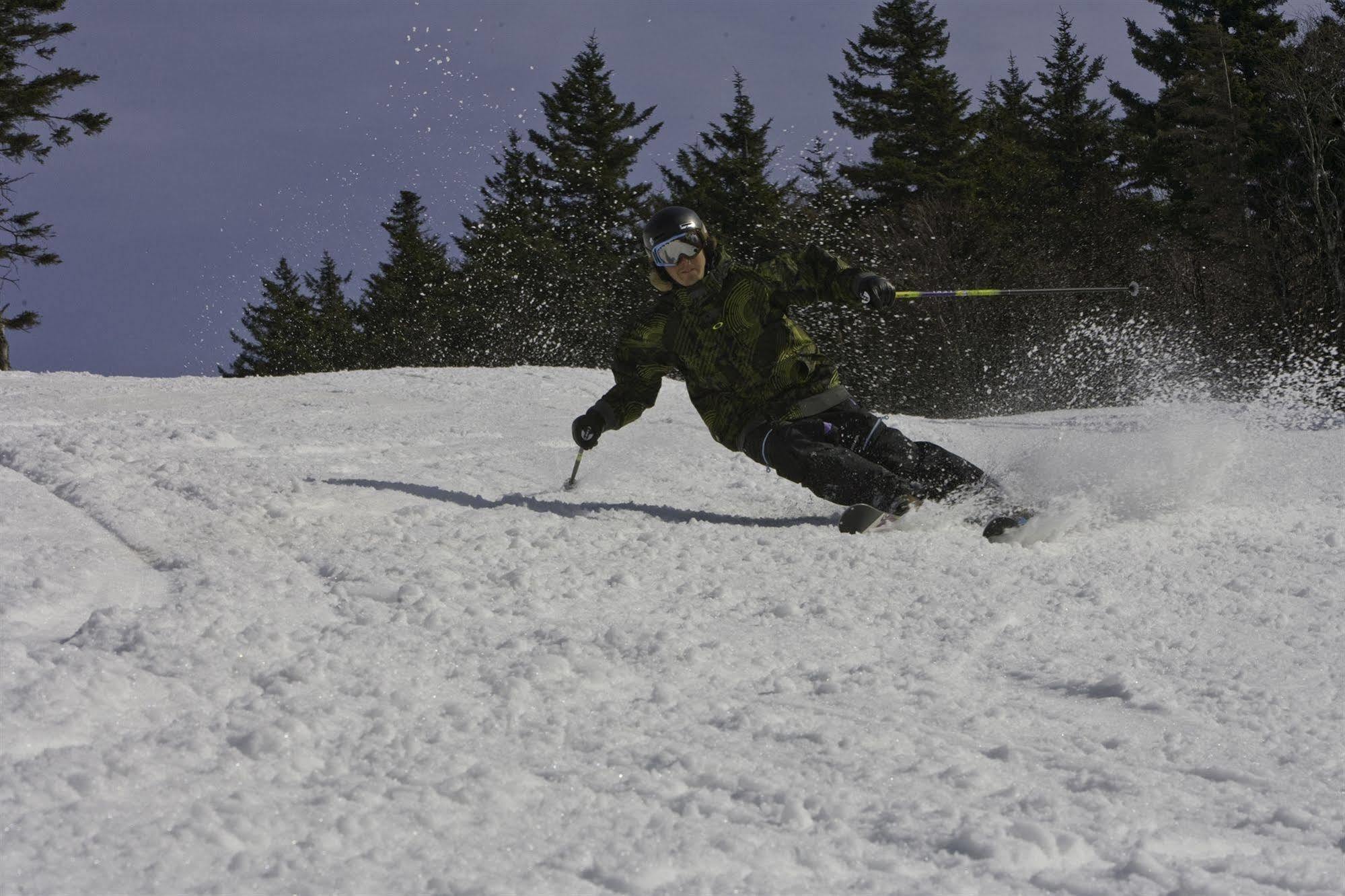 Allegheny Springs Snowshoe Εξωτερικό φωτογραφία