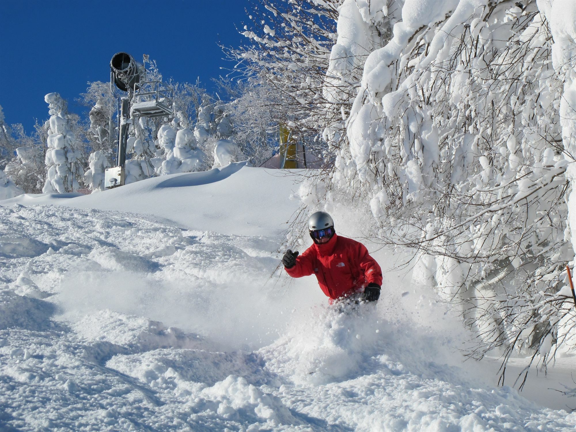 Allegheny Springs Snowshoe Εξωτερικό φωτογραφία
