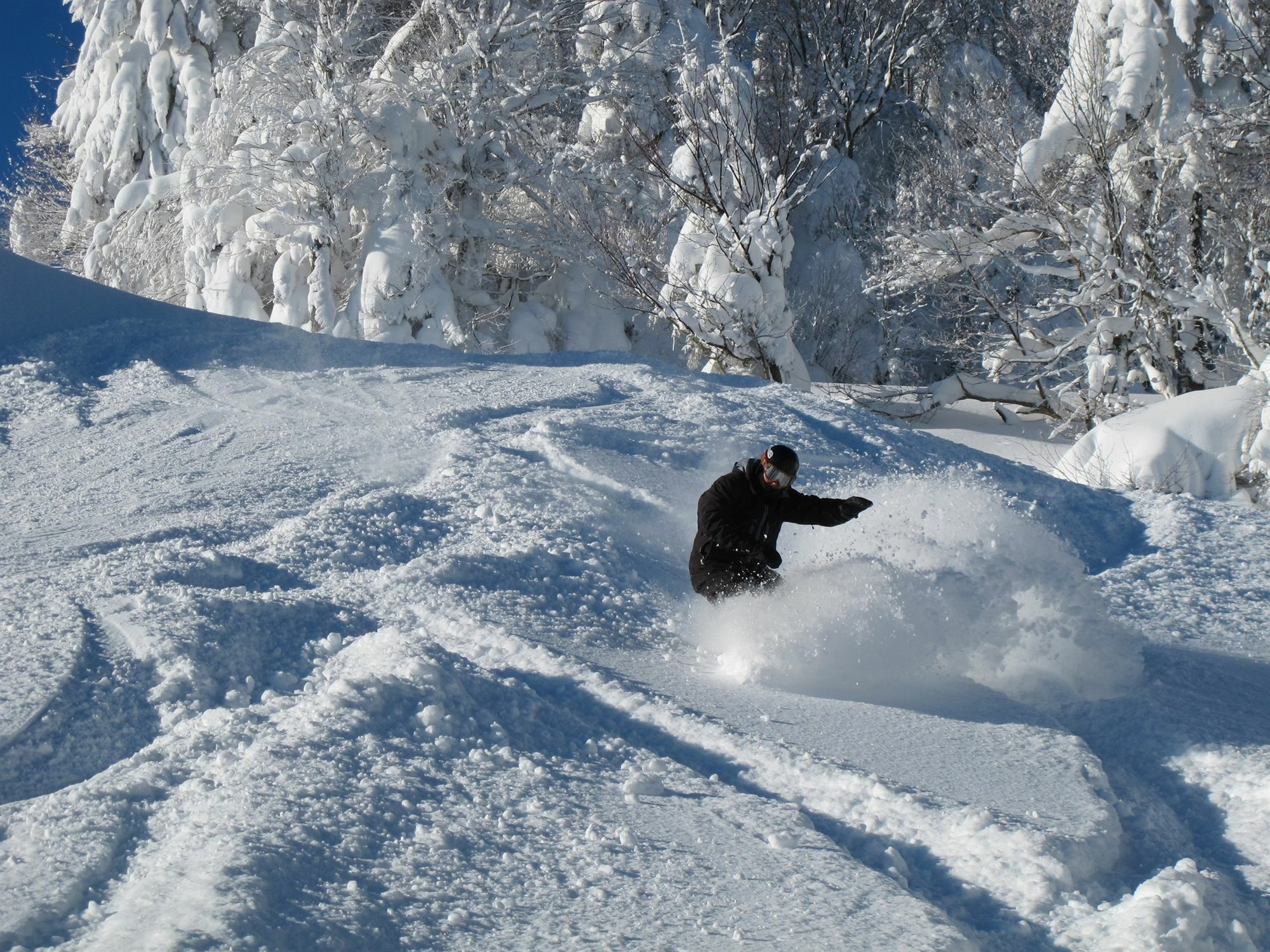 Allegheny Springs Snowshoe Εξωτερικό φωτογραφία